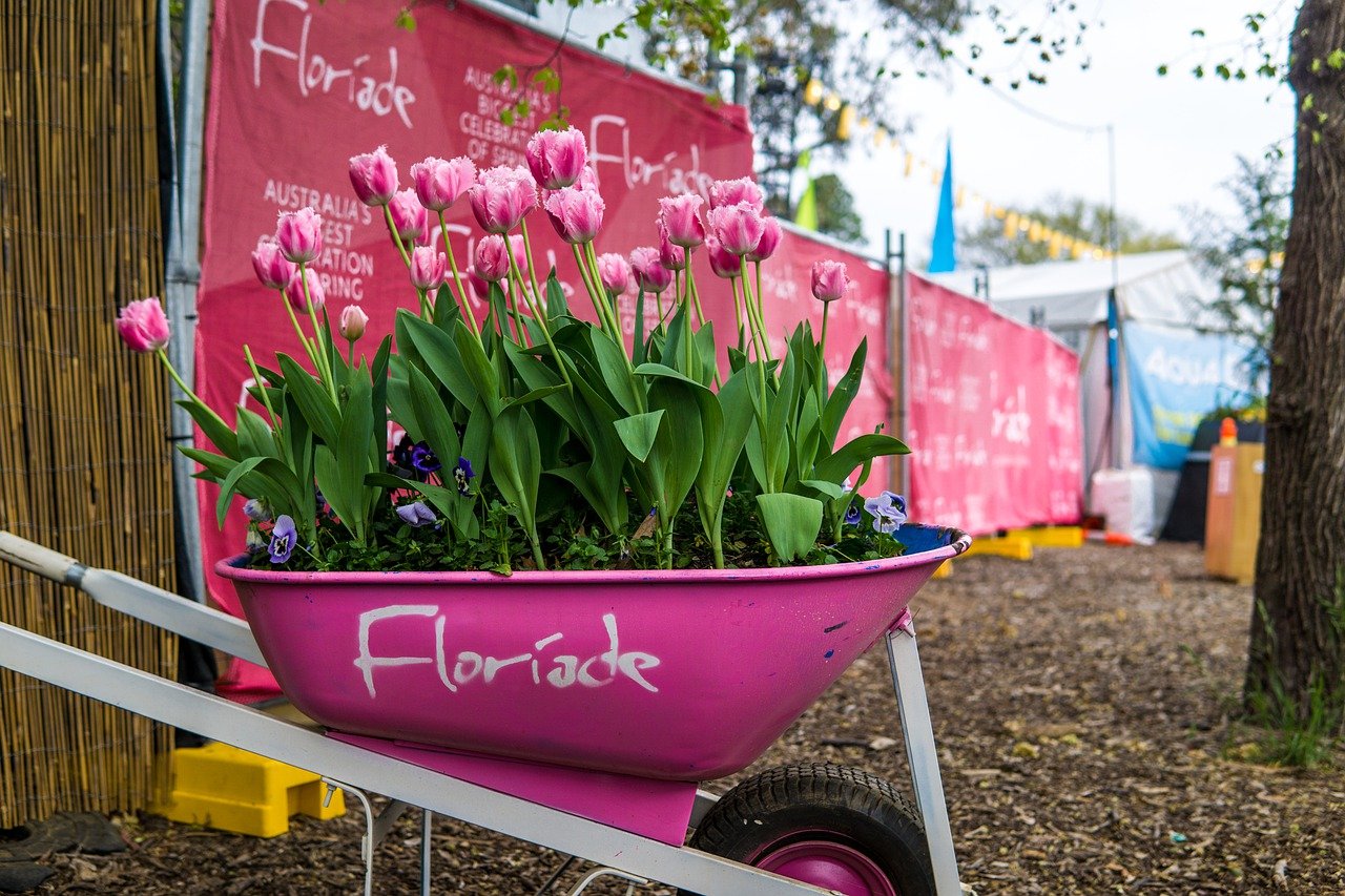 Once a decade flower festival
