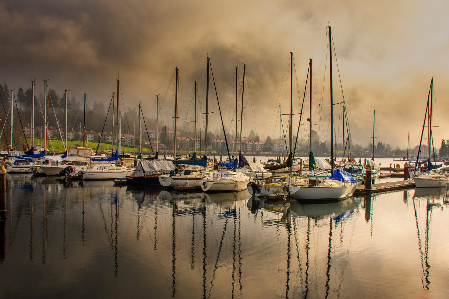 Olympia, Washington In 24-Hours