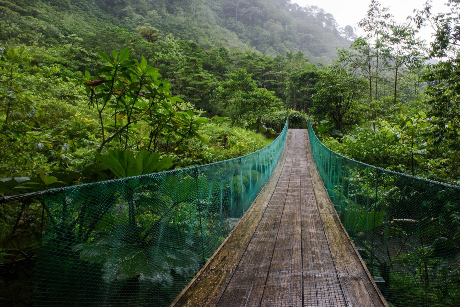 Learn the answer to "what is Costa Rica known for?" here. Pictured: a suspension bridge in a cloud forest jungle.