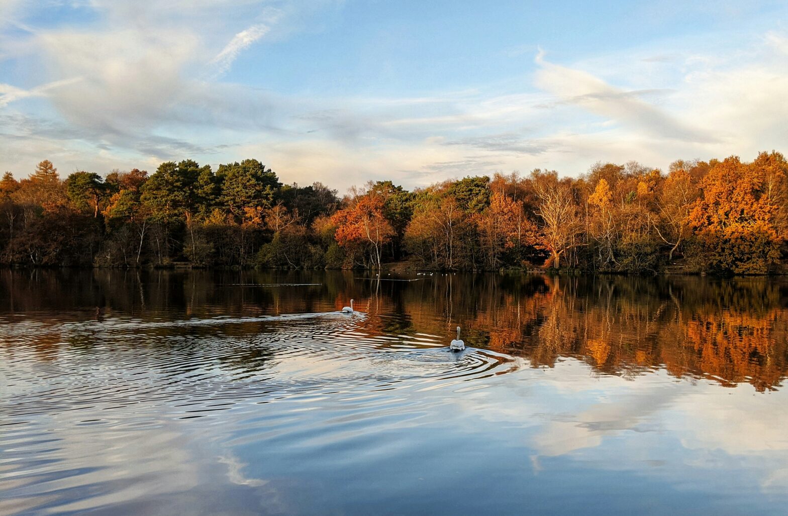 Read all about where "The Gentlemen" series was filmed. pictured: a calm pond surrounded by orange autumn foilage