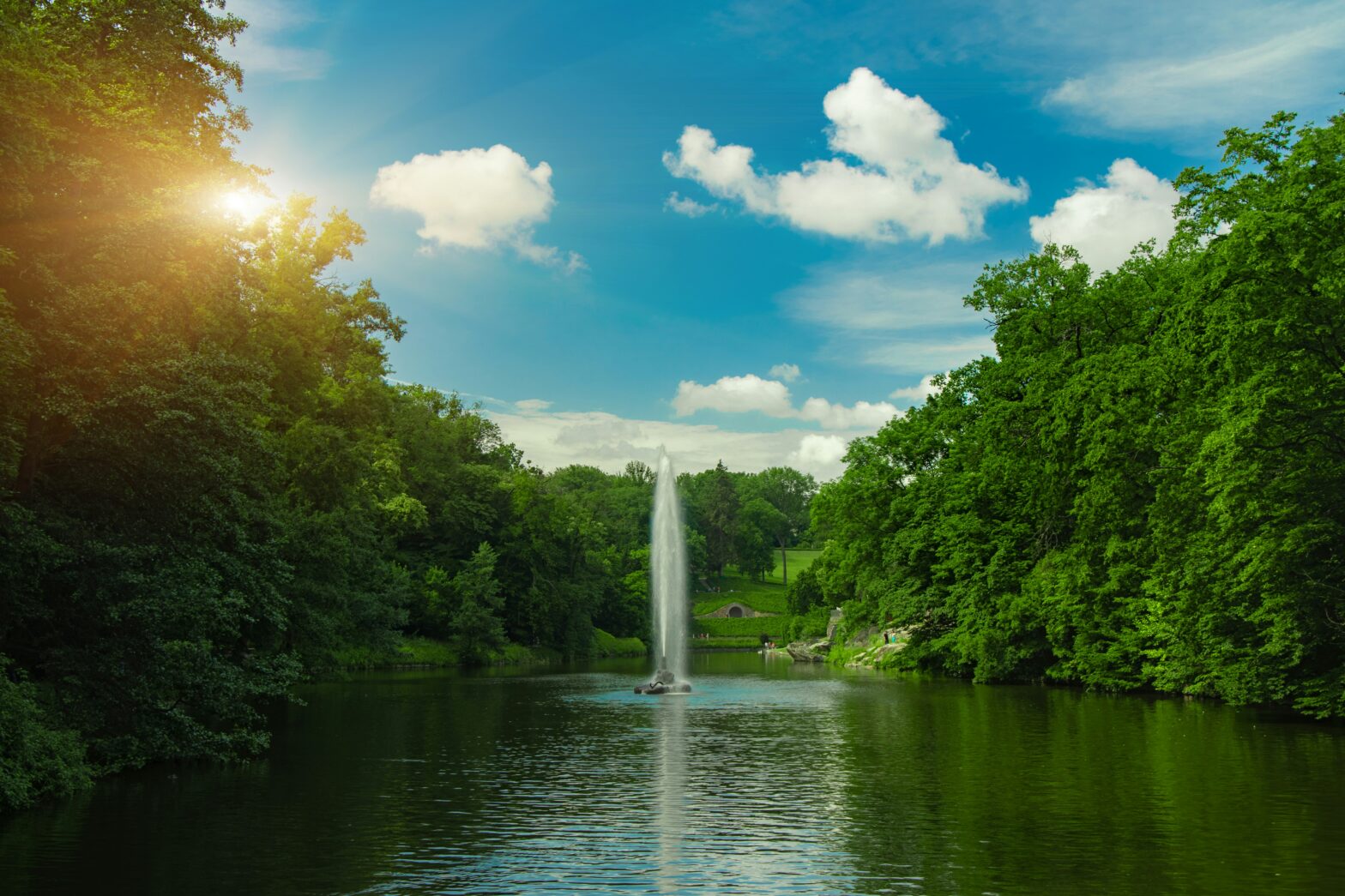 Lush green scene with cloudy skies
