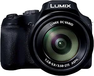 Panasonic LUMIX FZ80 4K Digital Camera