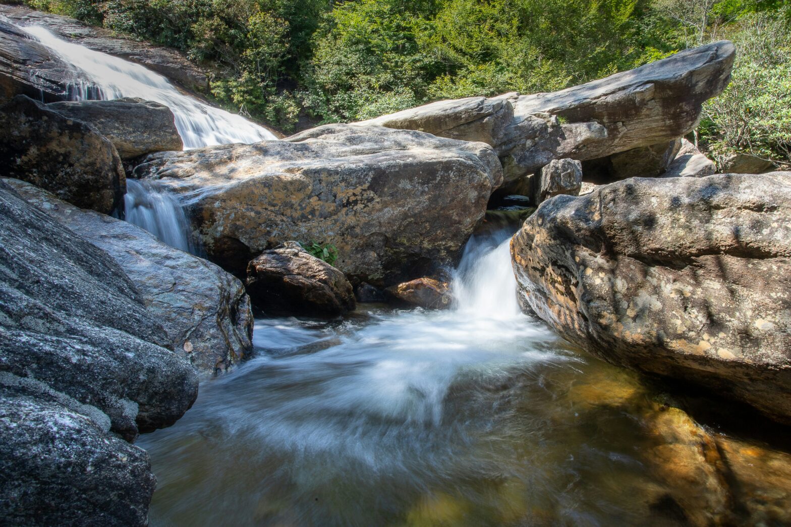 Creek at the Great Smoky Mountains National Park