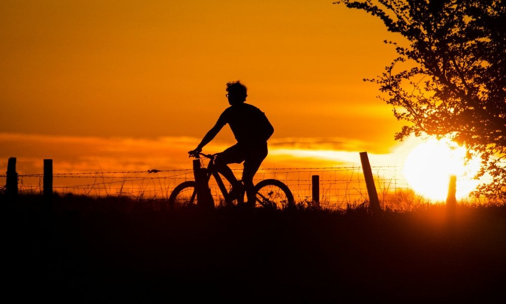 Revel Bikes Rides Its Last Trail, Closing Amid Financial Strain