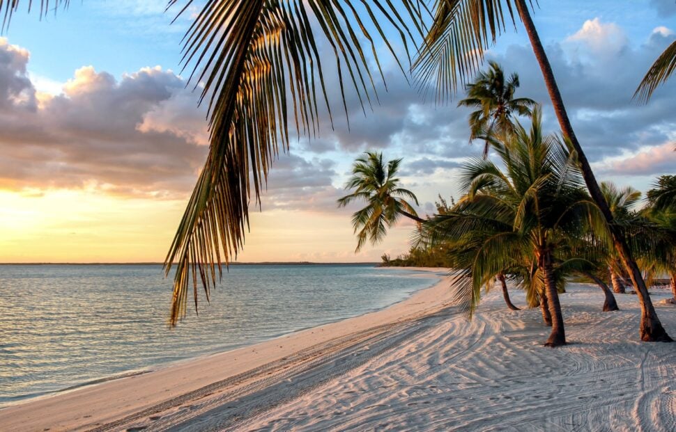 sunset on beach coastline in Andros, The Bahamas