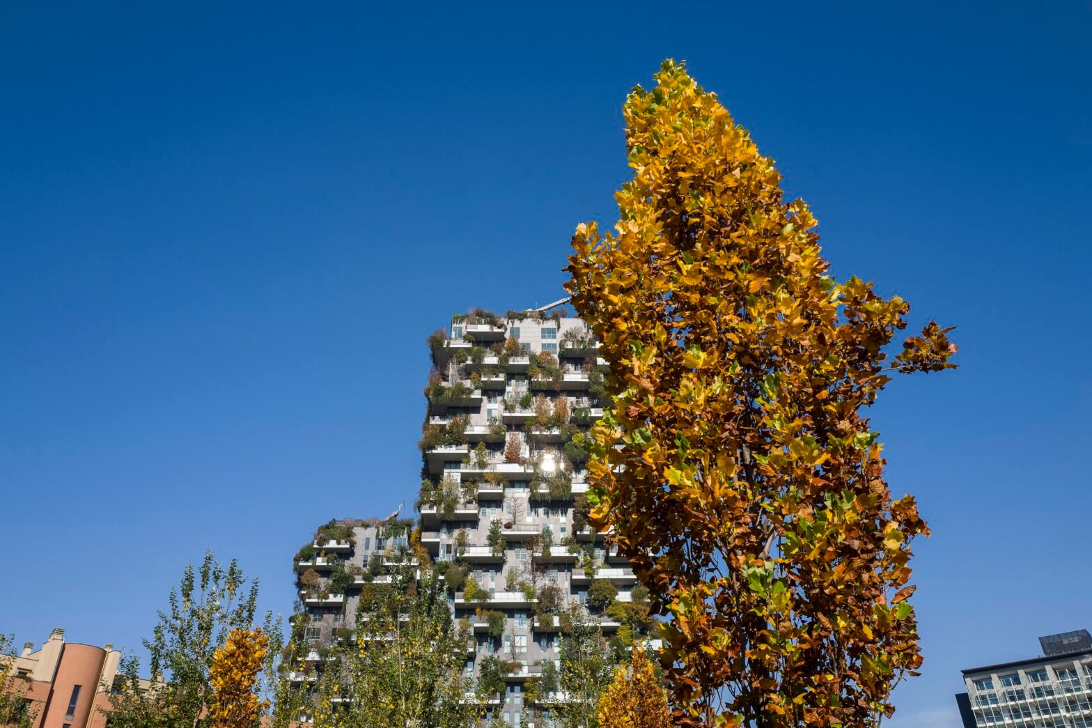 A Milan Local’s Guide To The City’s Best Fall Art, Galleries, And Cultural Stops A Milan Local’s Guide To The City’s Best Fall Art, Galleries, And Cultural Stops
