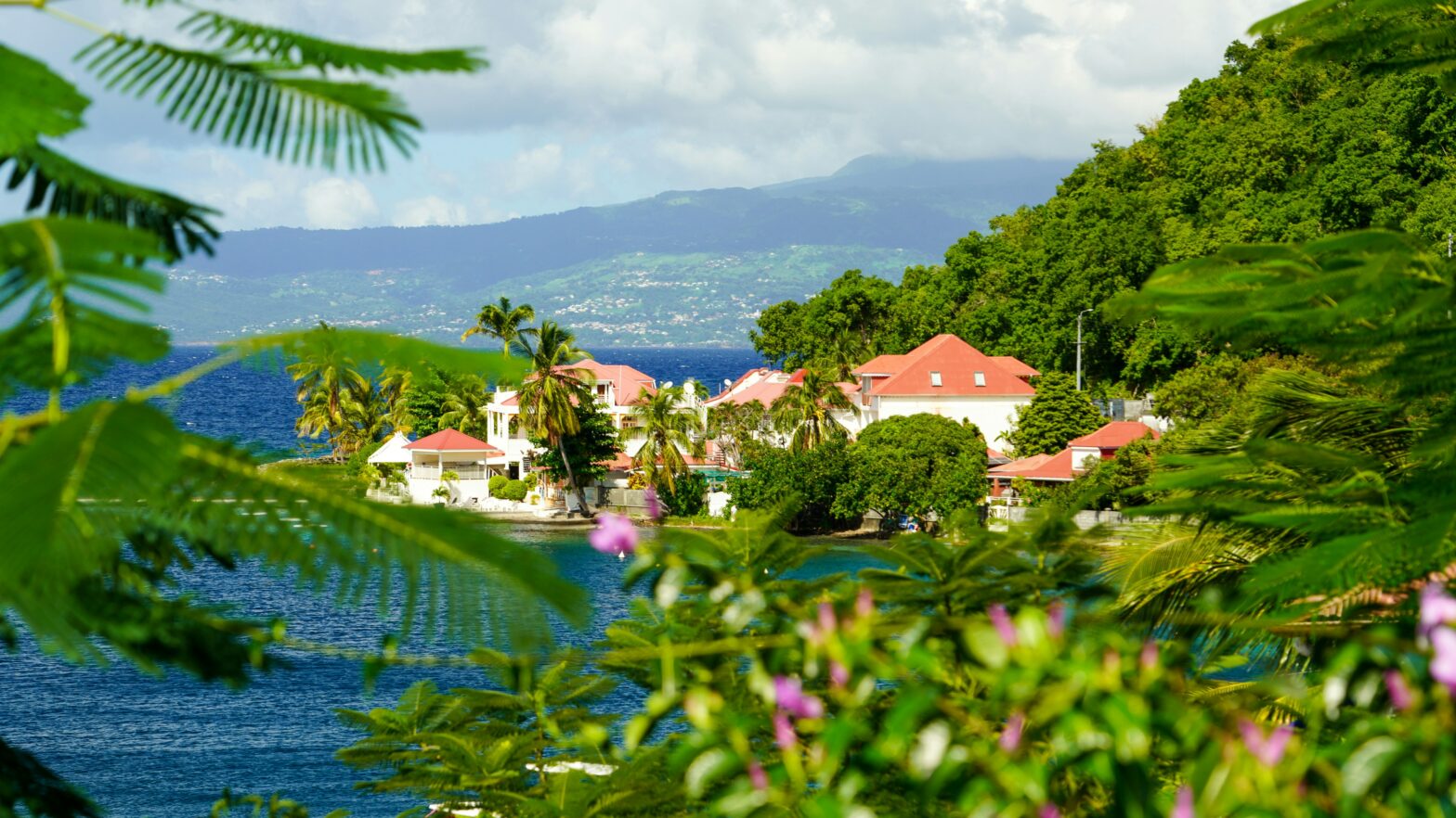 The Diaspora's Island Luxe Index: Black-Owned And Black-Influenced Stays Across The Caribbean The Diaspora's Island Luxe Index: Black-Owned And Black-Influenced Stays Across The Caribbean