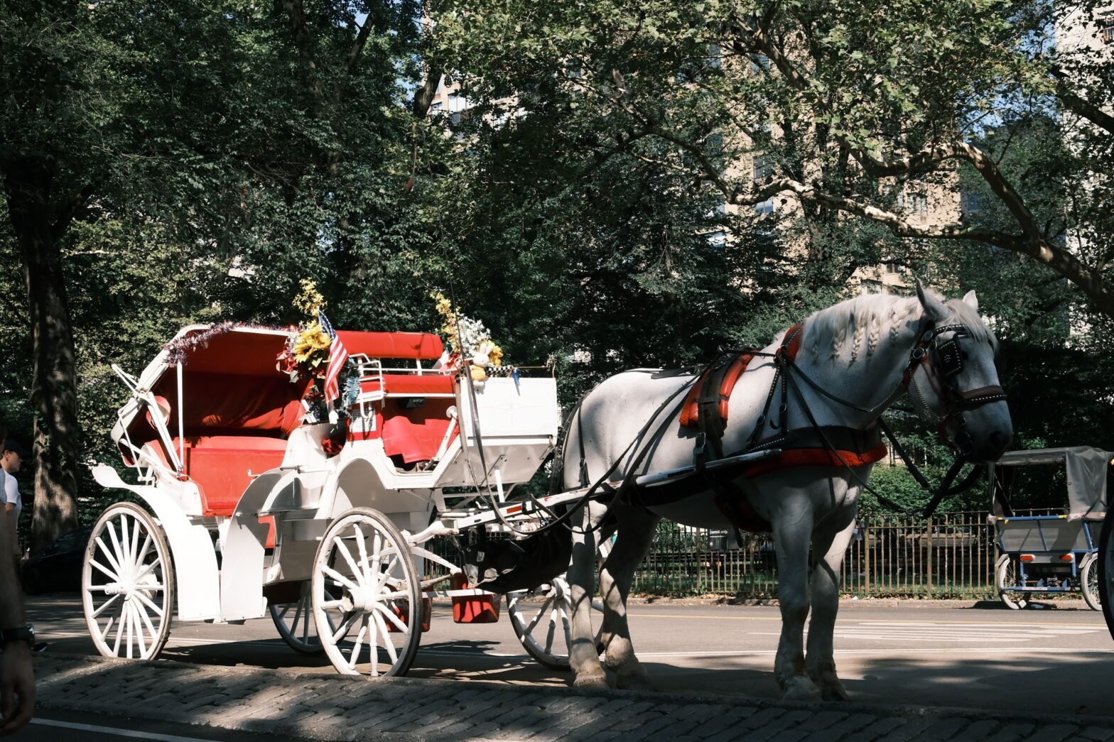 Beloved Yet Controversial NYC Tourist Attraction May Be Gone For Good By 2028 Beloved Yet Controversial NYC Tourist Attraction May Be Gone For Good By 2028