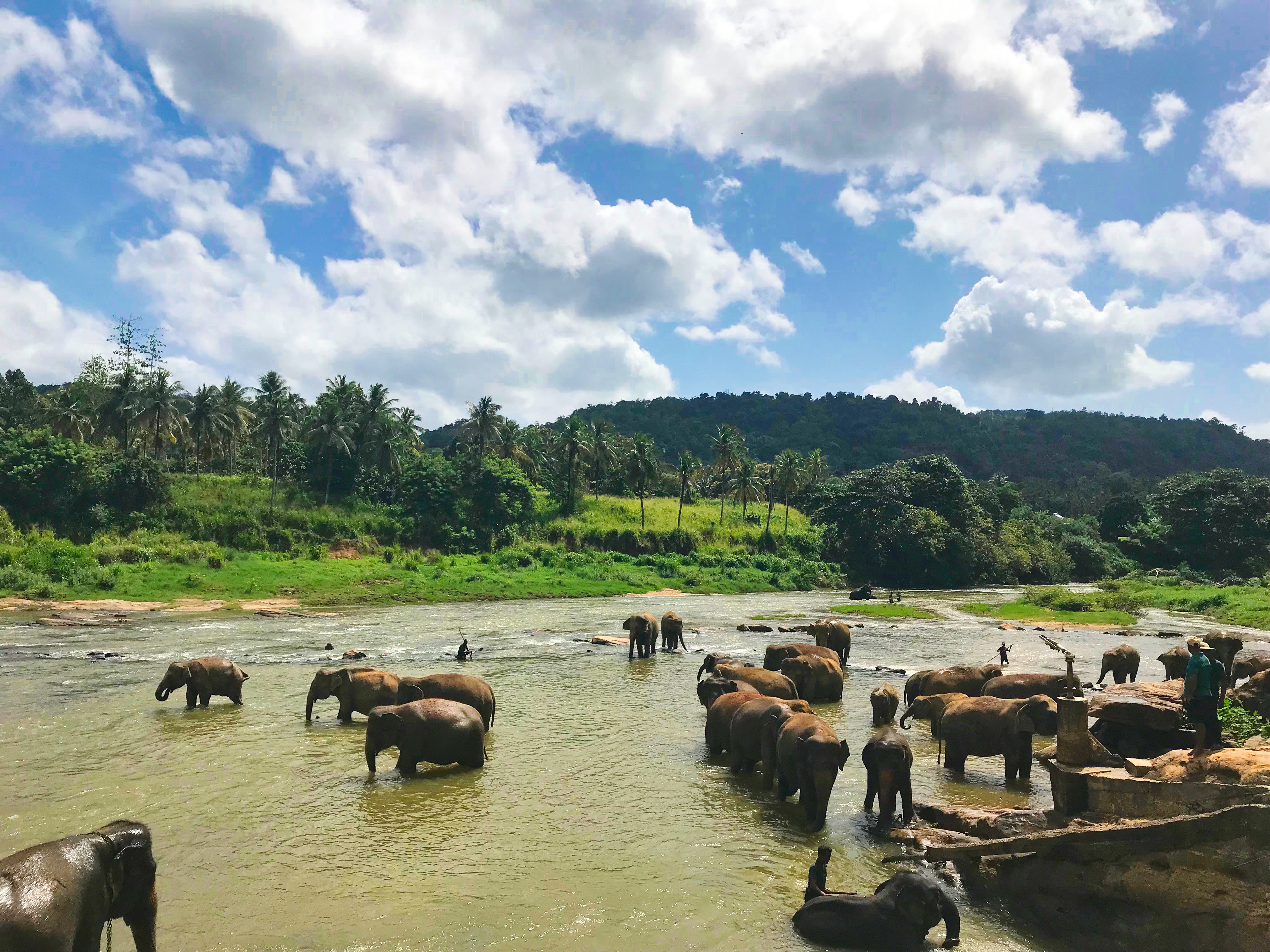 Sri Lanka Championed As The Top Country To Visit In 2019