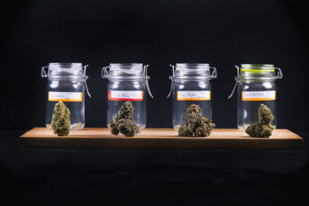 Assorted cannabis bud strains and glass jars isolated on black background - medical marijuana dispensary concept