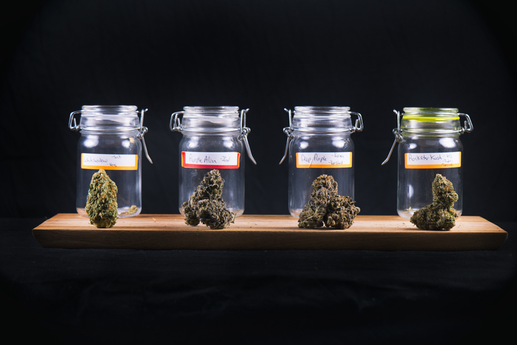 Black-Owned Marijuana Dispensaries In Denver