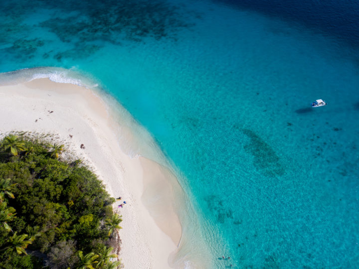 A New Island Has Emerged In The Pacific After Underwater Volcano Erupts