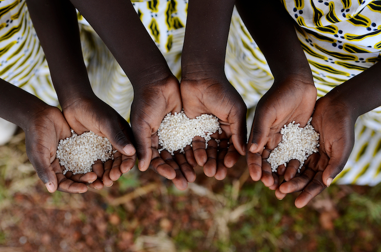 Six Foods Brought To The Americas To Help Keep African Culture Alive