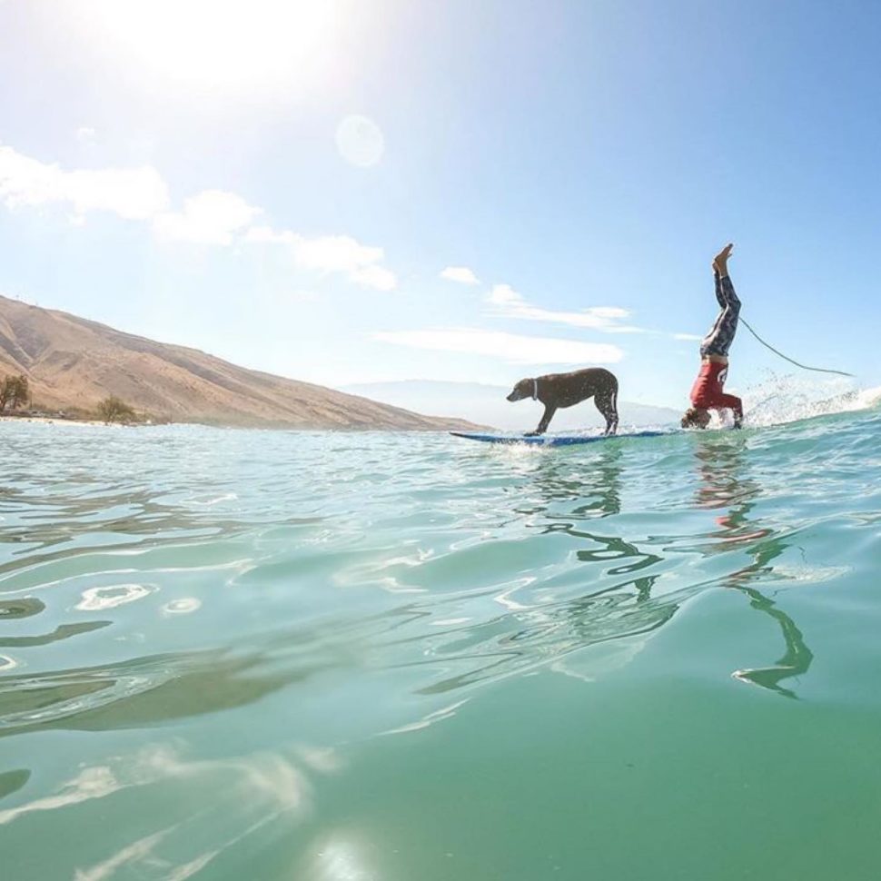 maui hawaii solo trip