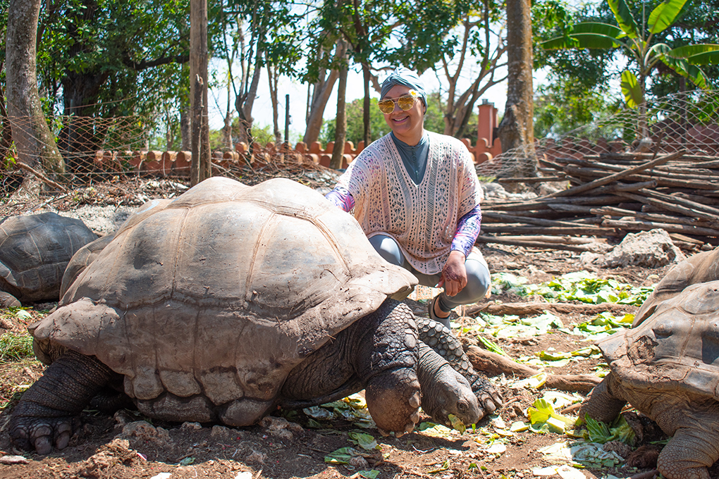 Giant tortoise at Chenguu Island (Prison Island) on the African island of Zanzibar, Tanzania.