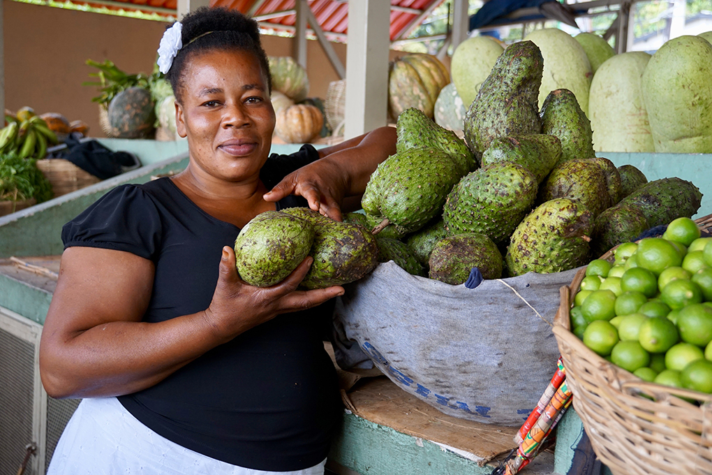 Celebrate Haitian Heritage Month With These Virtual Events