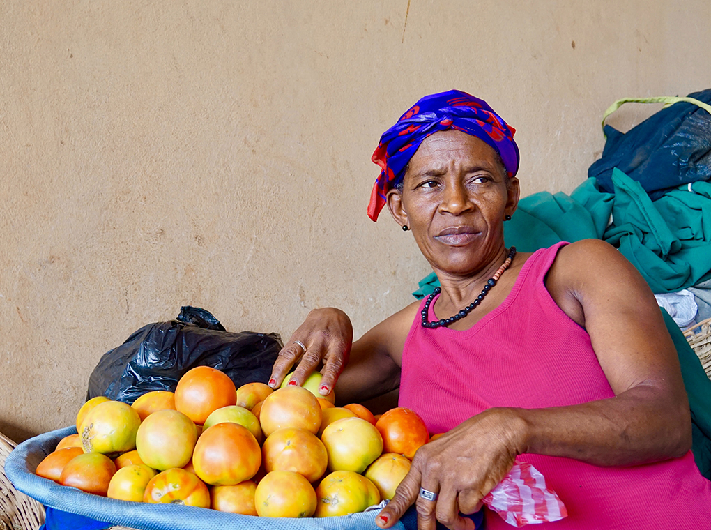 Celebrate Haitian Heritage Month With These Virtual Events