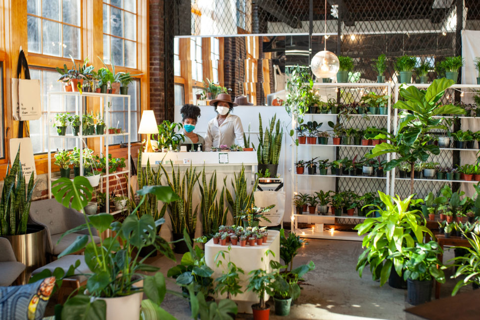 plant store