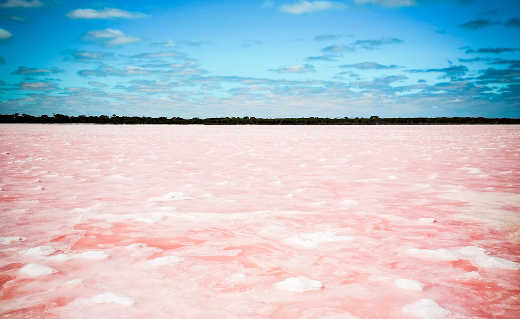 7 Pretty Pink Lakes Around The World