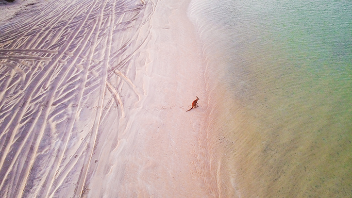 7 Pretty Pink Lakes Around The World