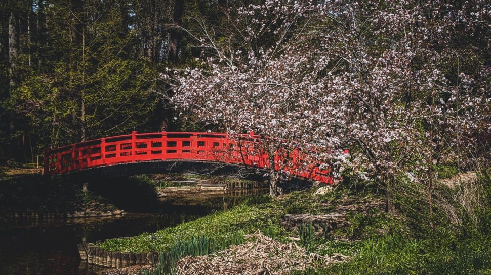 where was peanut butter falcon filmed
Pictured:  a red bridge 