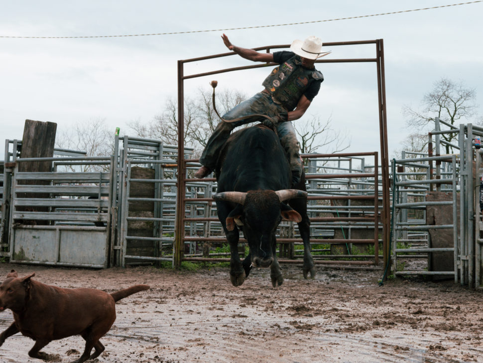 Black Cowboy