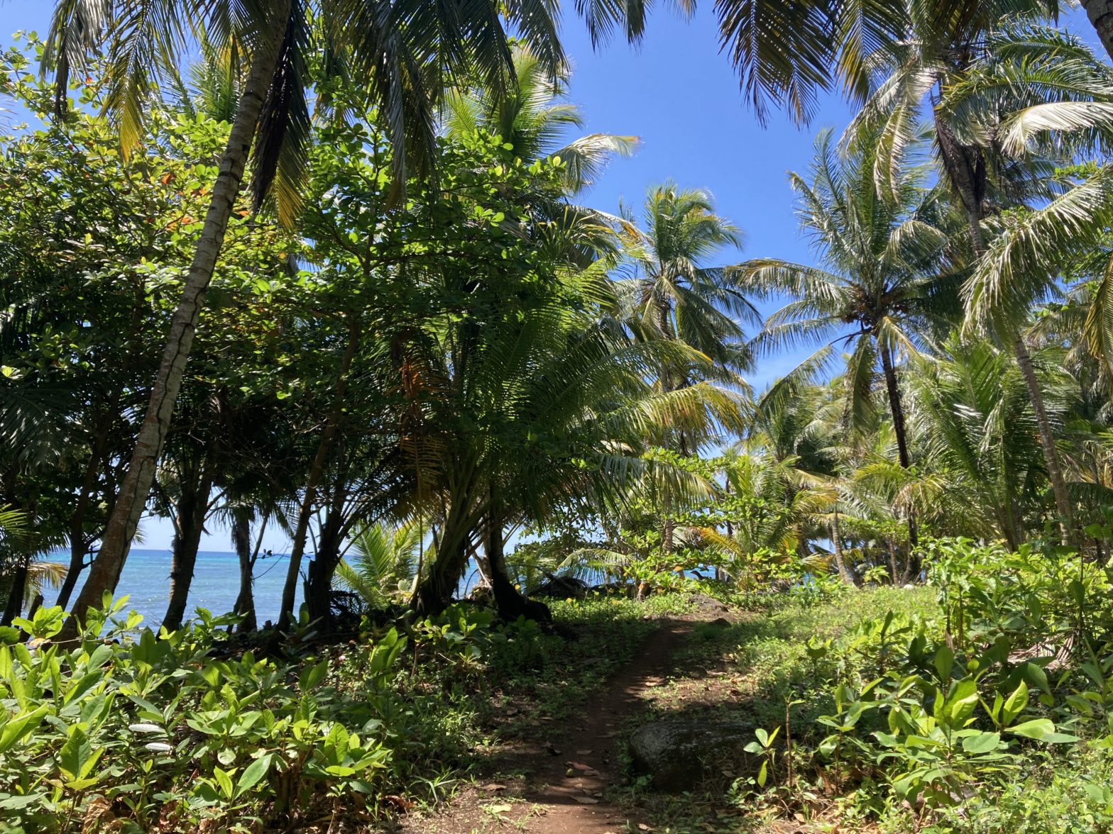 Little Corn Island Nicaragua