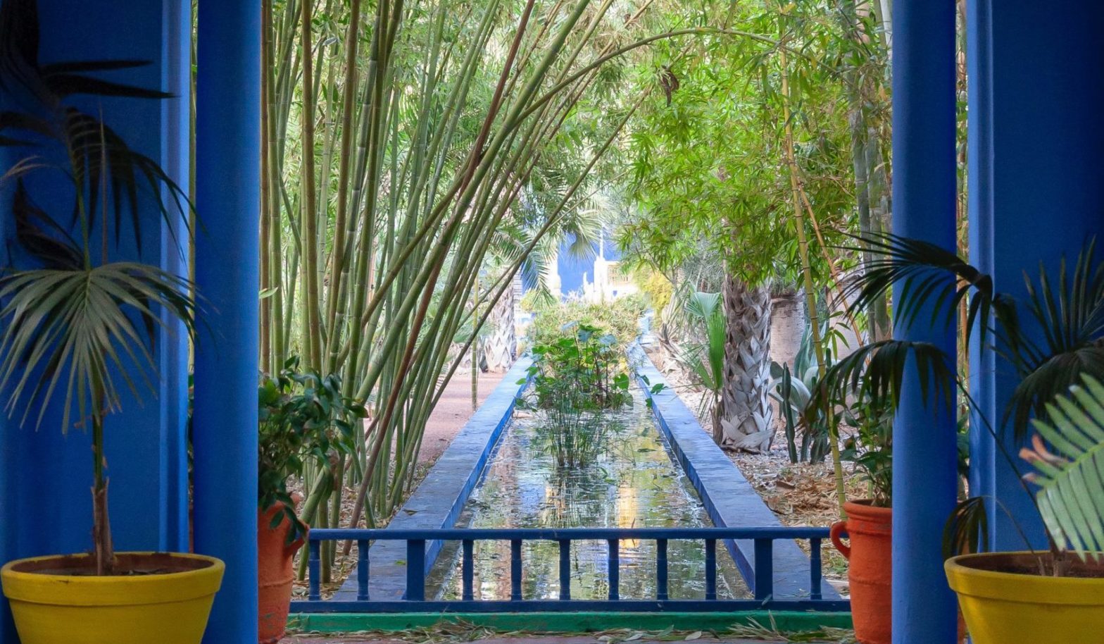 Jardin Majorelle morroco