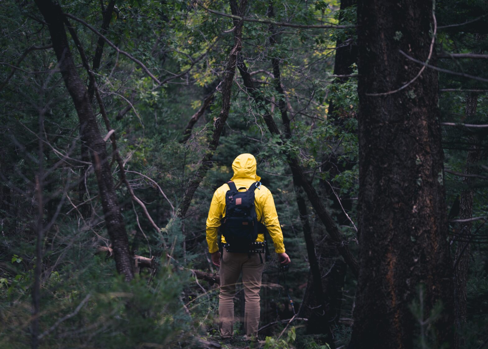 Heading to a Rainforest? Take One of These Rain Jackets