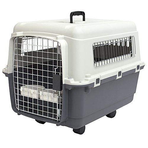 Sport Pet Designs Plastic Kennels Rolling Plastic Wire Door Travel Dog Crate