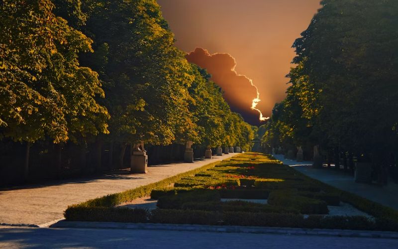 unique getaways in Madrid - green space in Parque de El Retiro, Madrid, España