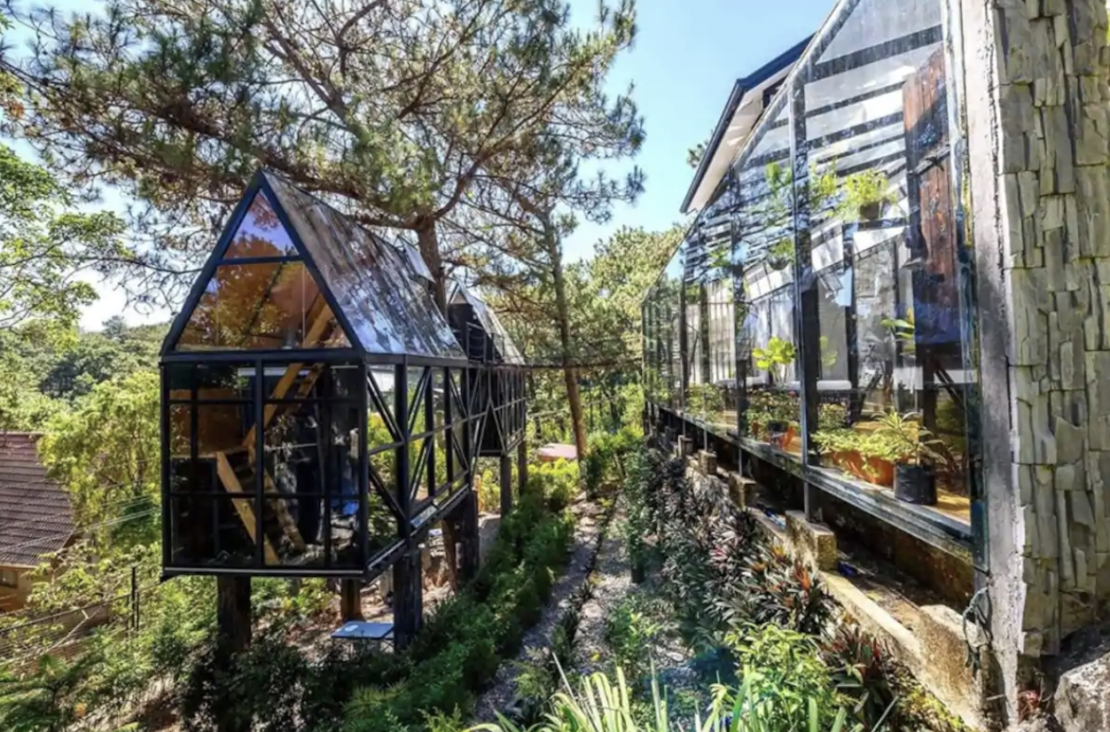 Pine Needle Treehouse, The Philippines