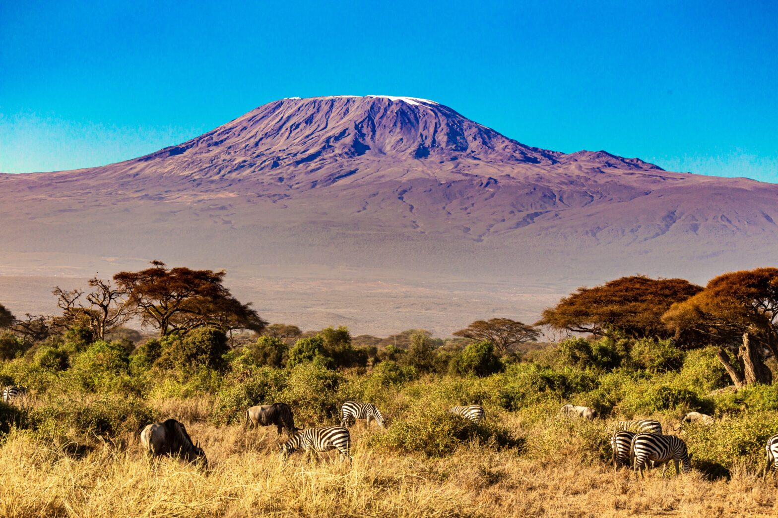 Mount Kilimanjaro