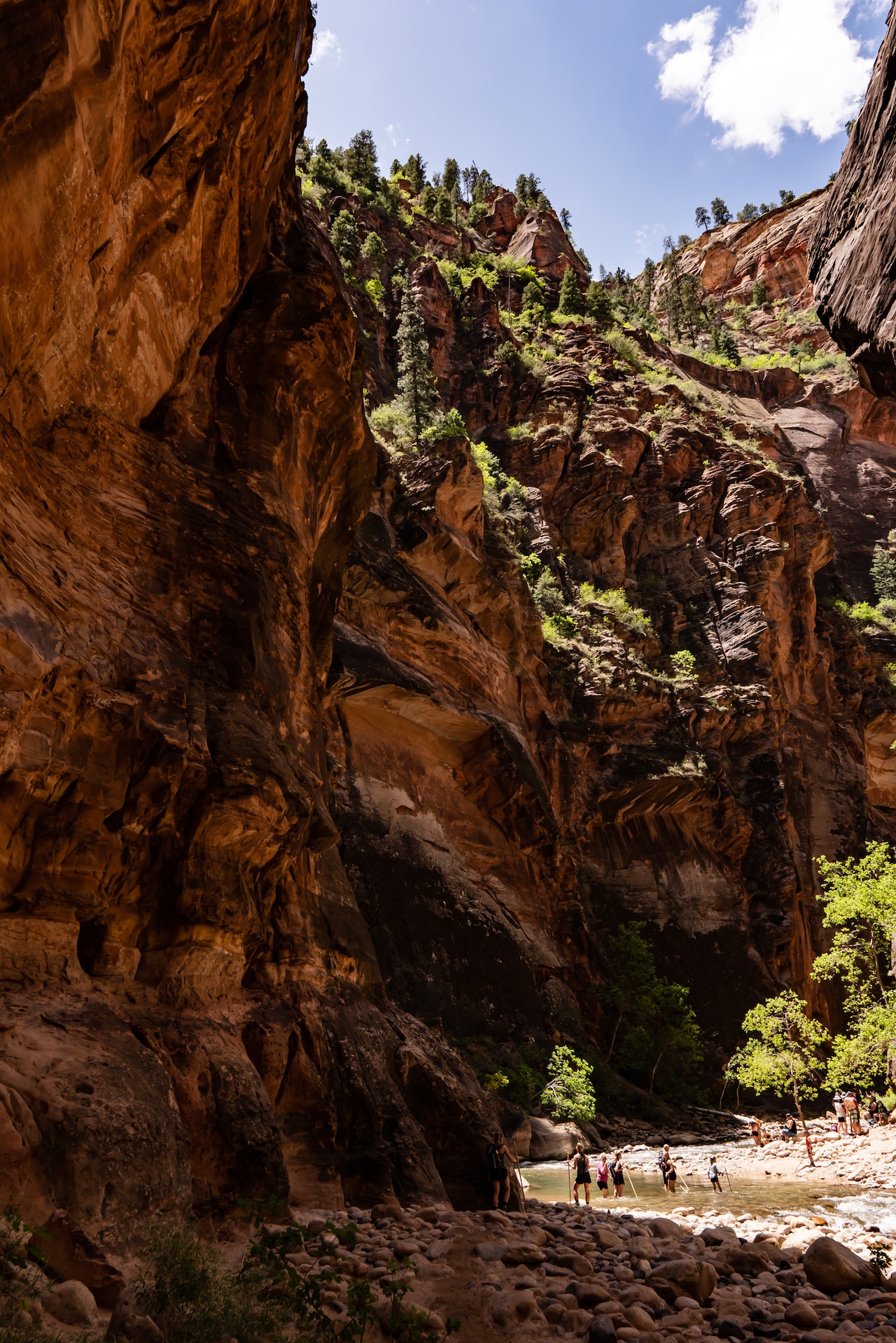 Hiking the Narrows in Zion National Park