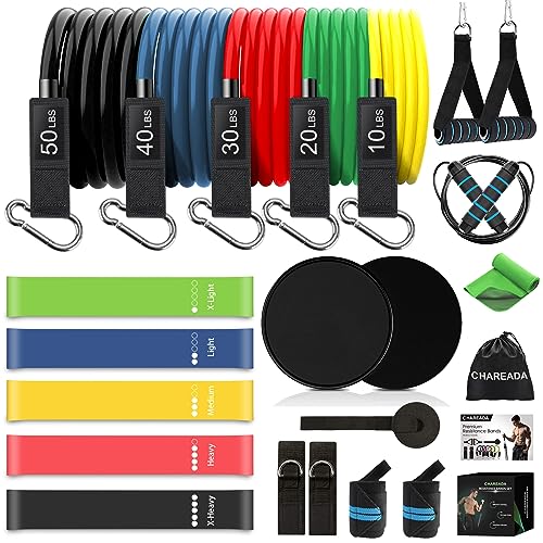 23 Pack Resistance Bands Set