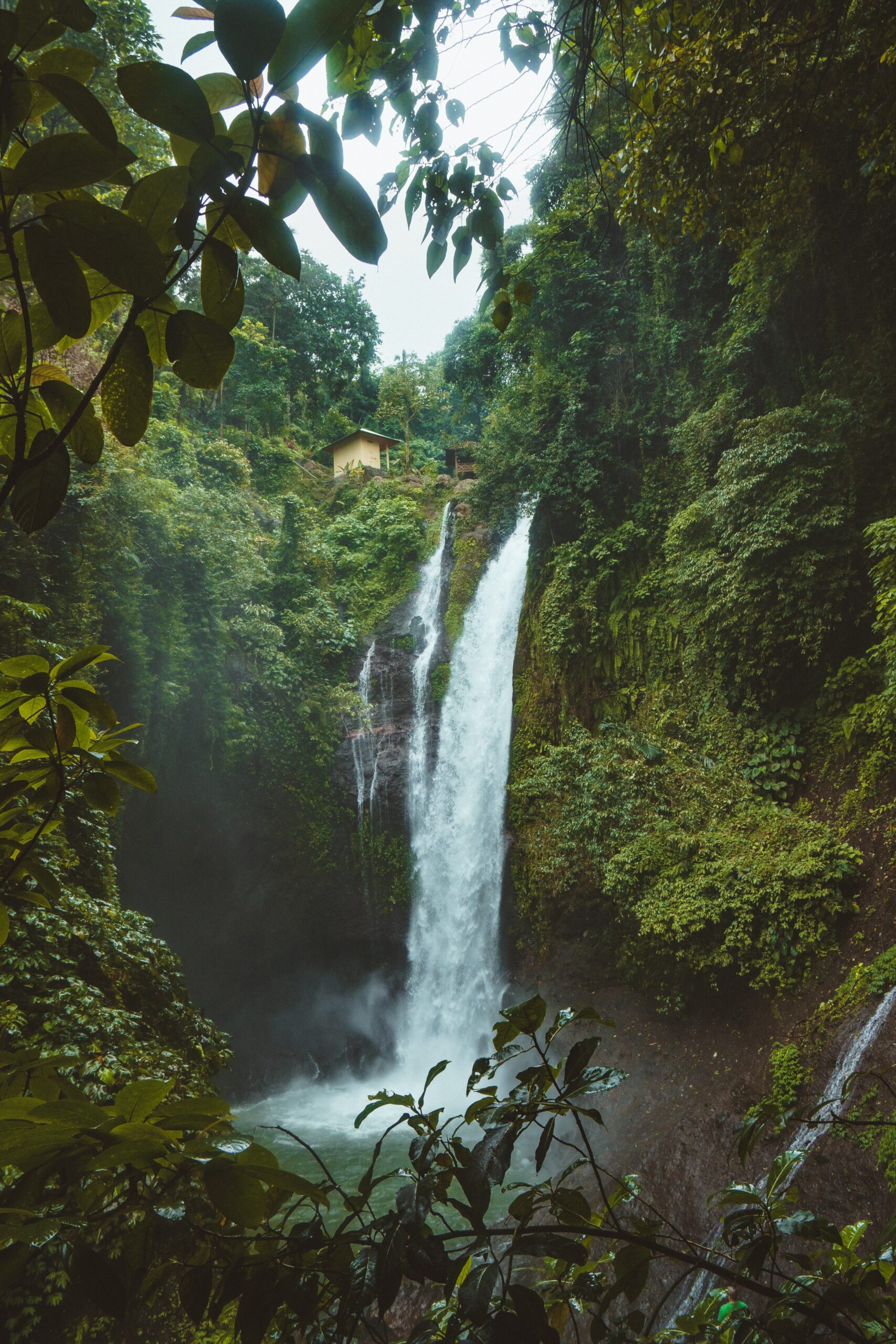 These Airbnb retreats surrounded by the jungle may be the perfect venue for a destination wedding. 