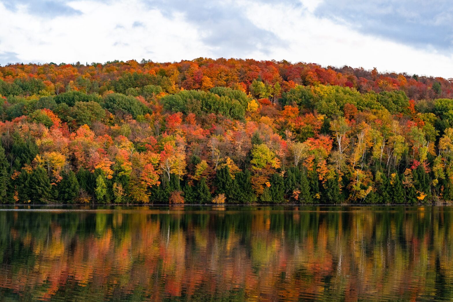 Pictured: wide open space of scenic US national park forest in fall.