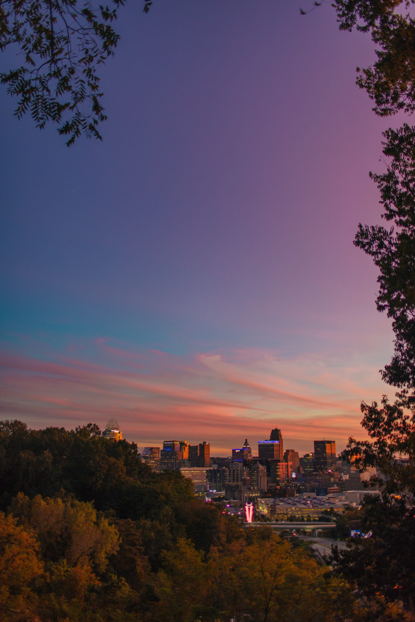 Things to do in Cincinnati Ohio in a short trip. The city is beautiful and filled with nature. Pictured: the Cincinnati, Ohio skyline.