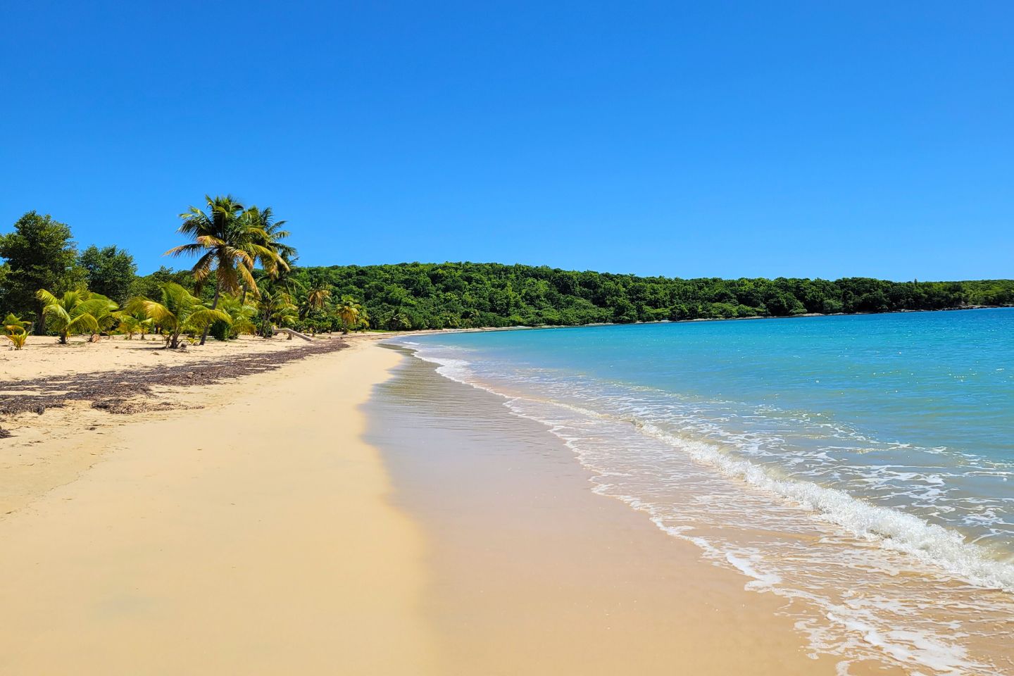 beach on Vieques island