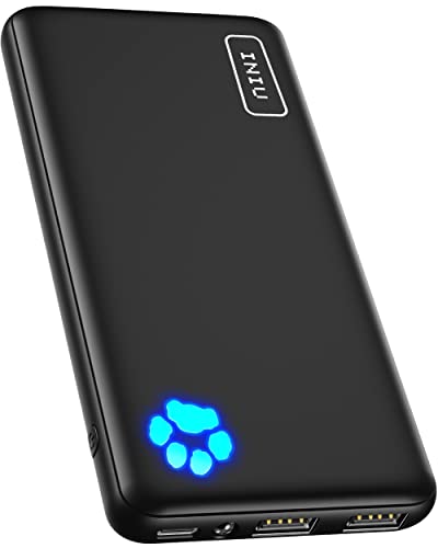 INIU Portable Charger