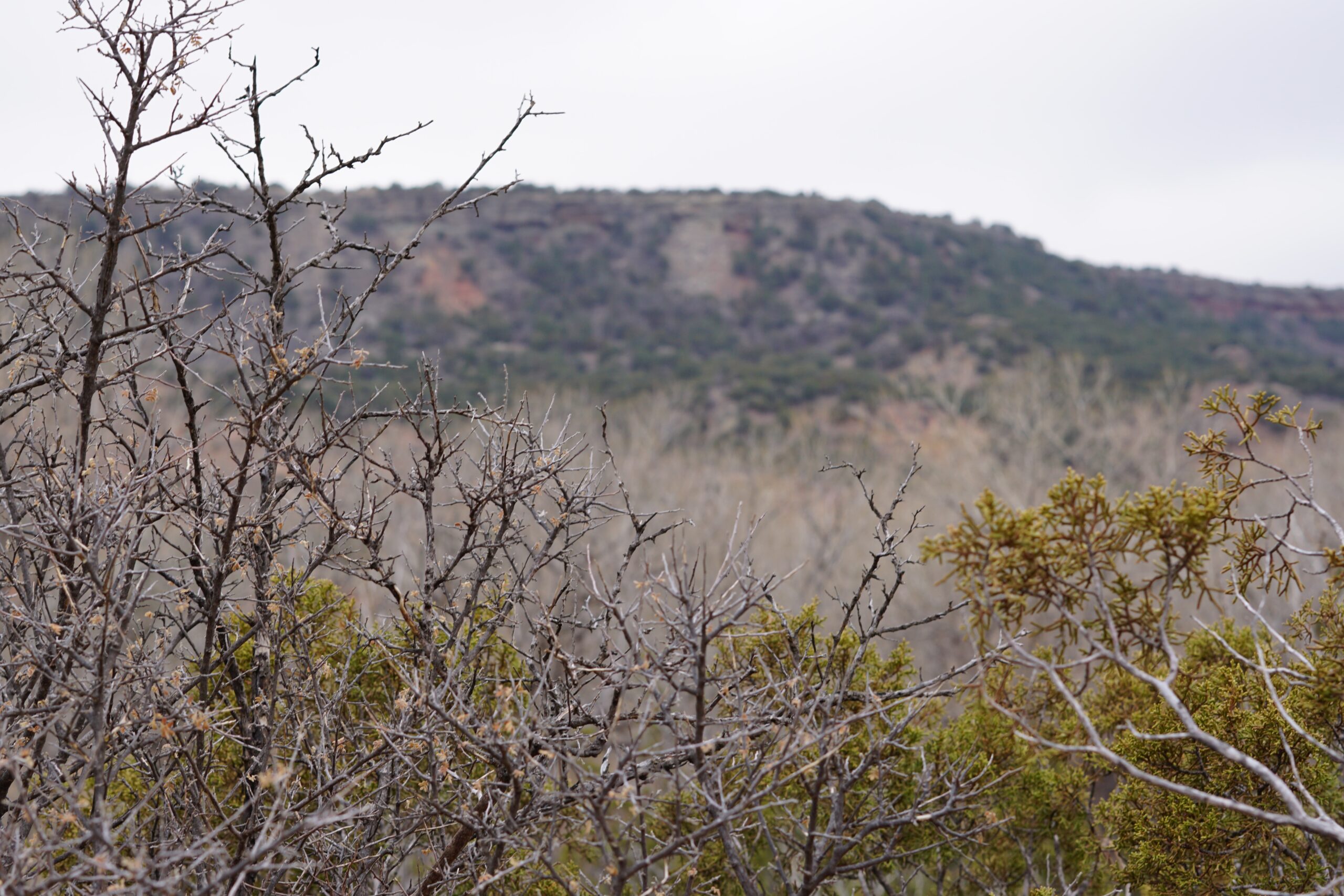 A Texas camp that hosts youth events is the filming location of the hit television show "The Chosen". pictured: the hills and greenery of Texas land