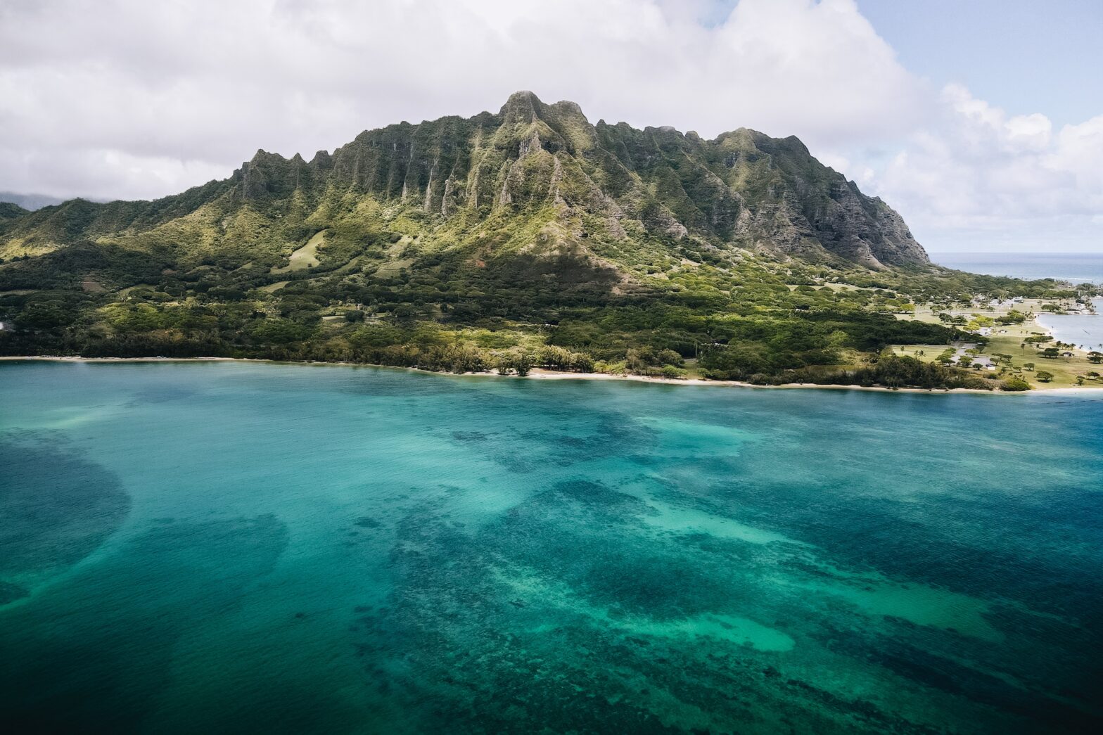 The Electric Beach's name comes from a local plant that contributes to the health of the reef. Learn more about the coastal Hawaiian area.