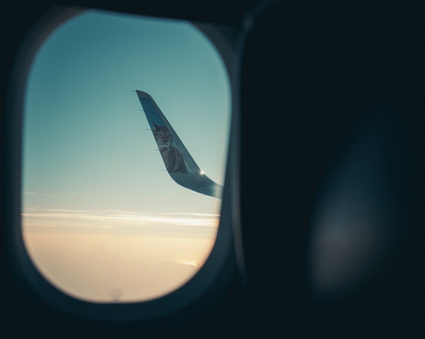 There are many benefits to flying with Frontier airlines like their efficient fleet. 
Pictured: A plane window out looking the sky with an image of a big cat on the wing 