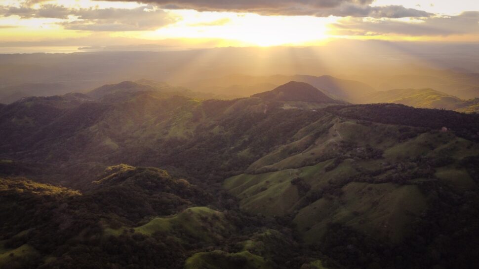 The Monteverde Cloud Forest