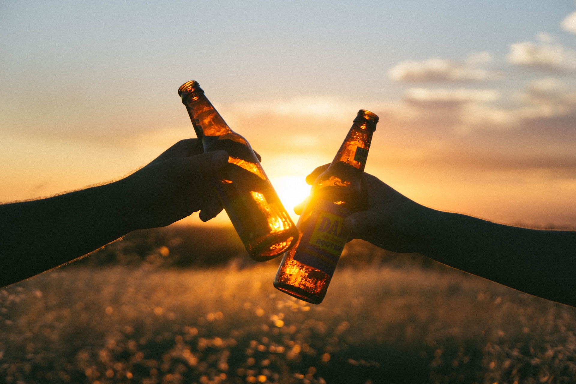 Two men cheers at sunset