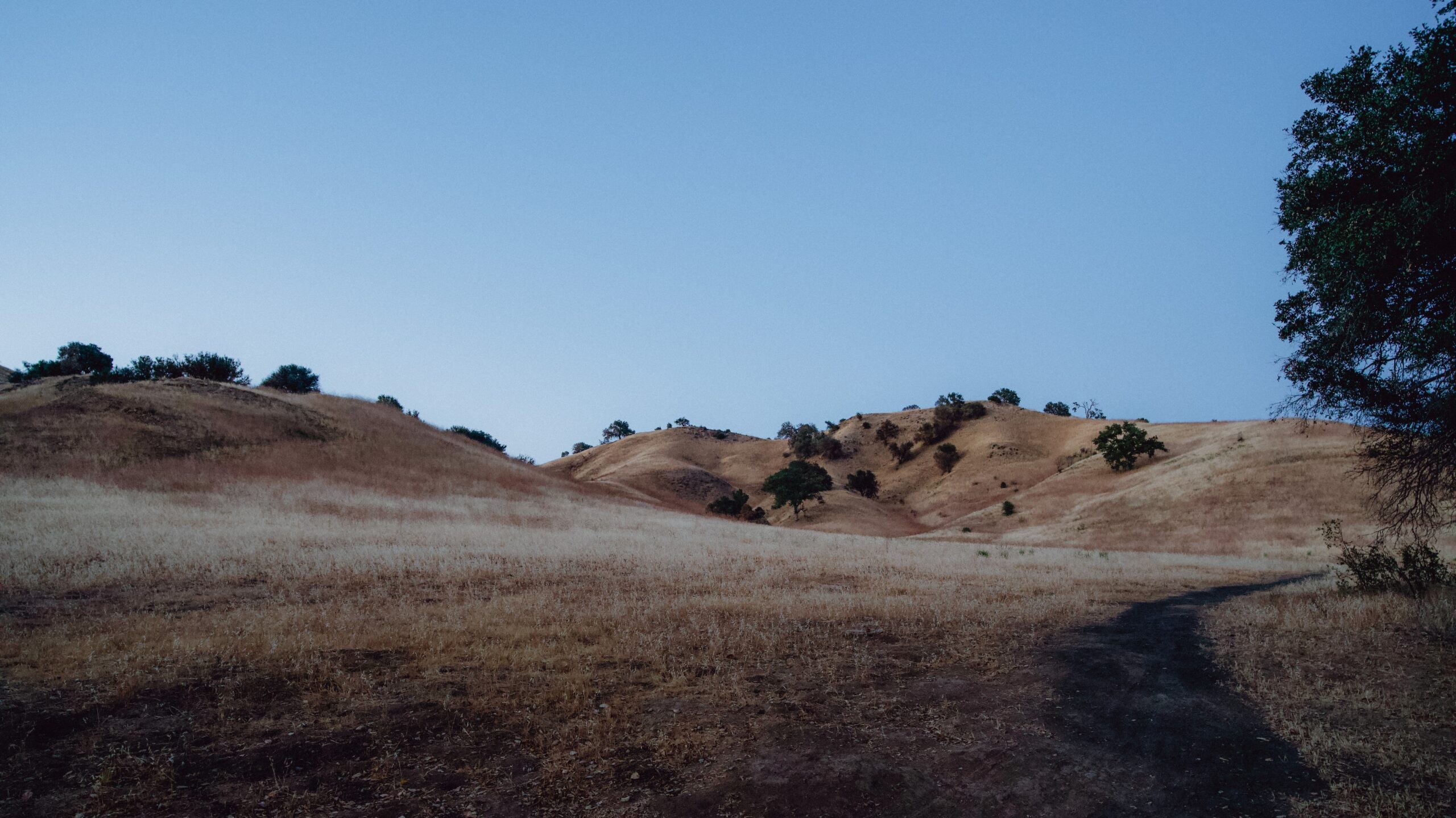 The Malibu Creek State Park is the main filming location of the show “Mash”, which is a popular war show. 
Pictured: the Malibu Creek State Park grassy areas and hills 