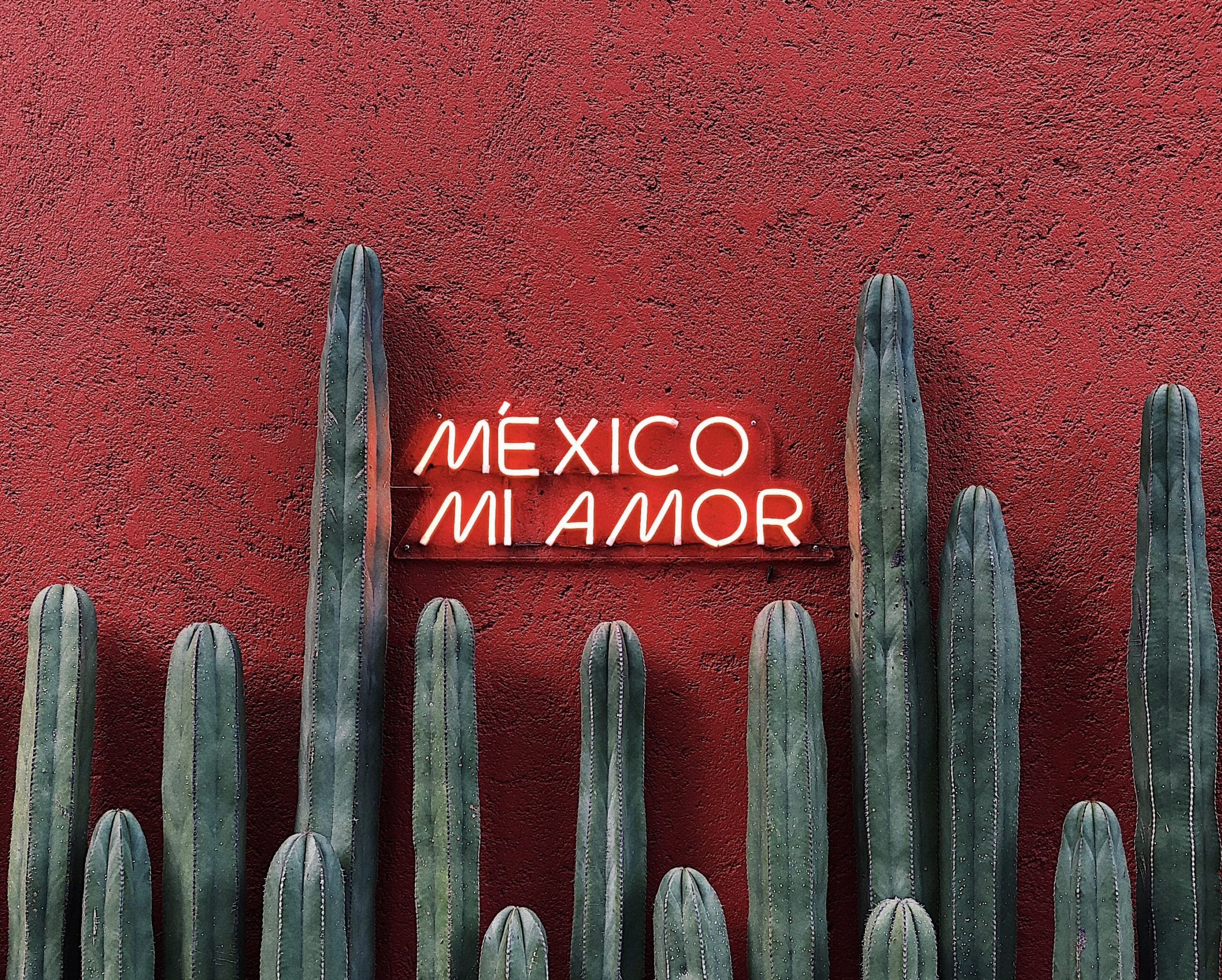 safest places to visit in mexico city