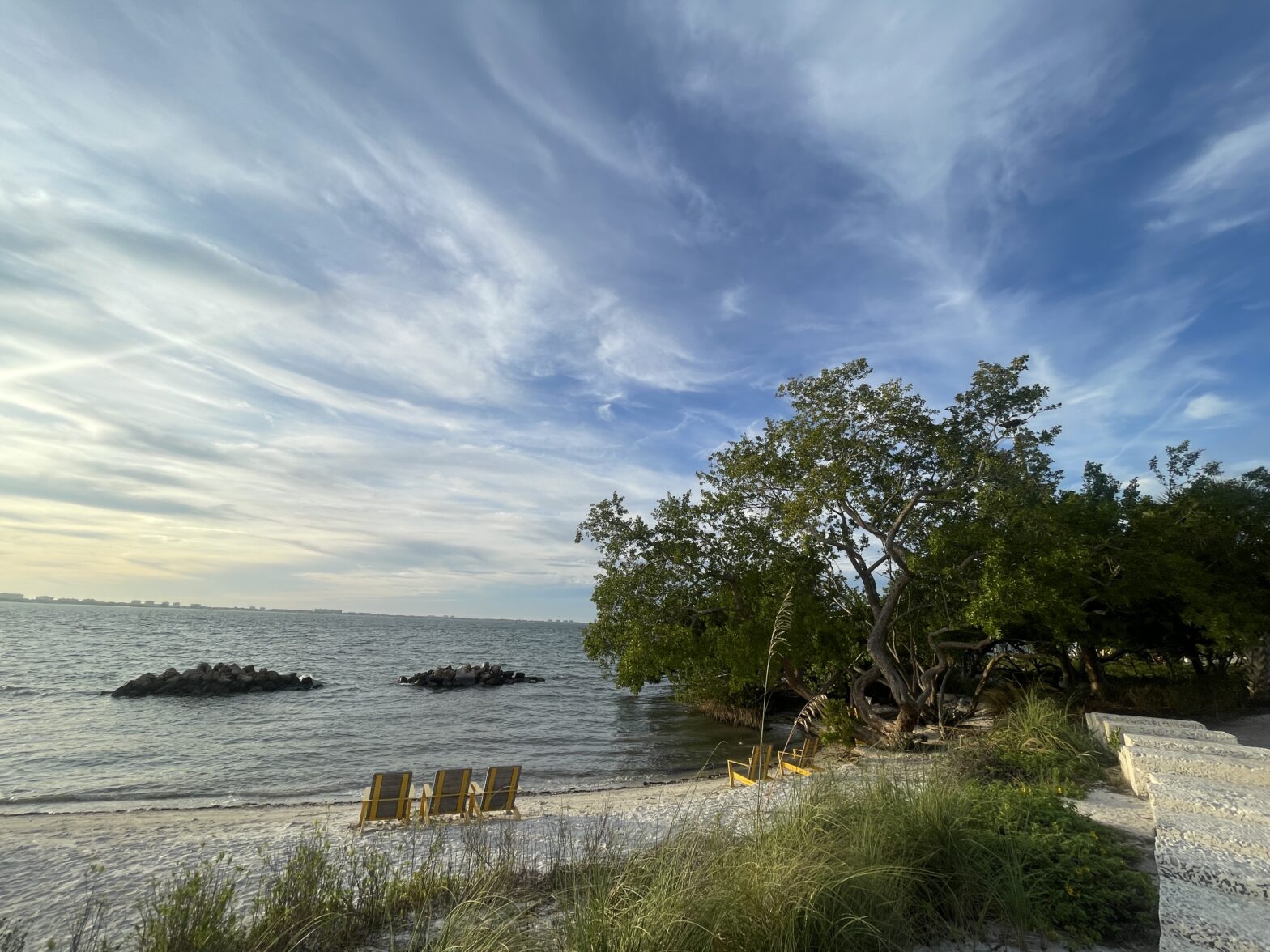 coastline view in Sarasota, Florida