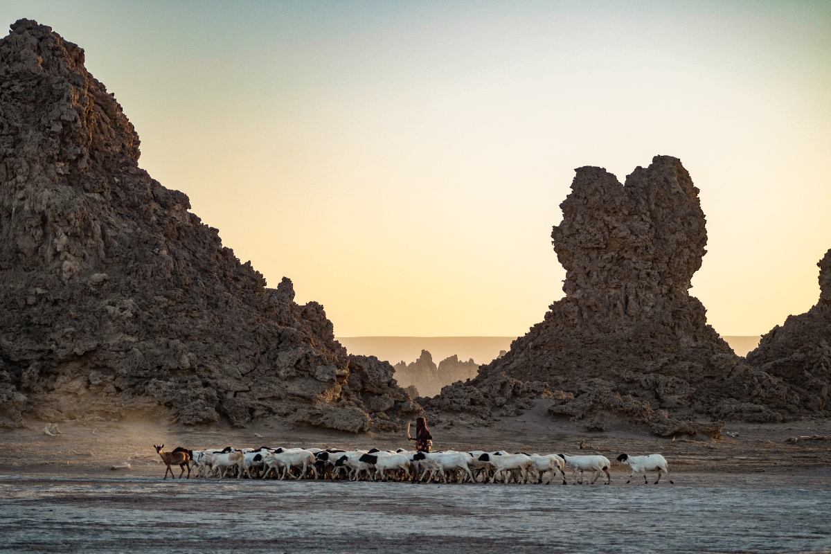 Lake Abbe on the Ethiopia-Djibouti border