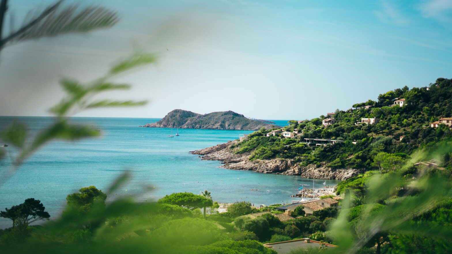 jungle mountainside view of the Saint Tropez coastline